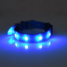 GlowPaws™  |  Luminous Waterproof Adjustable Cat And Dog Collar