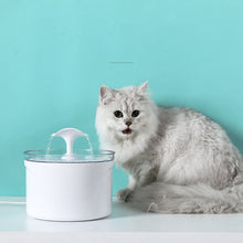 Electric Automatic Pet Water Fountain