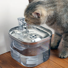 FlowPaws™  |  Pet Automatic Circulation Water Dispenser