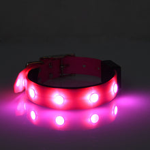 GlowPaws™  |  Luminous Waterproof Adjustable Cat And Dog Collar